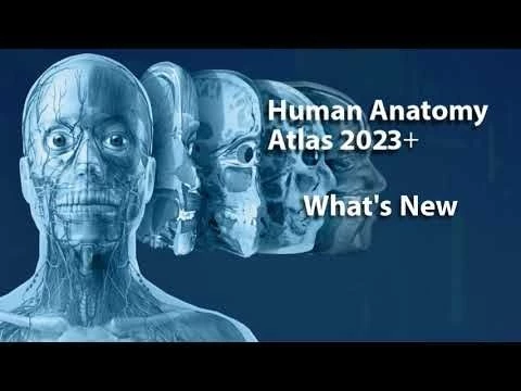 What#39;s New in Human Anatomy Atlas 2023＋?