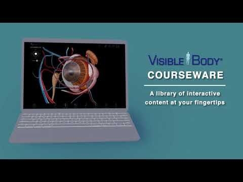 Visible Body Courseware | A library of interactive content at your fingertips