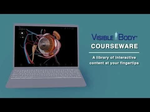 Visible Body Courseware | A library of interactive content at your fingertips