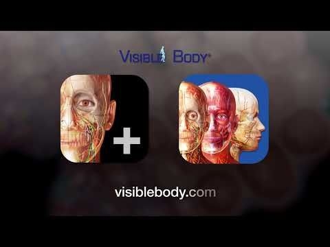 Visible Body Courseware | Atlas 2022+ Now Included!