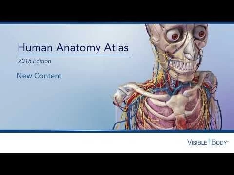 New Content: Human Anatomy Atlas 2018 Site License