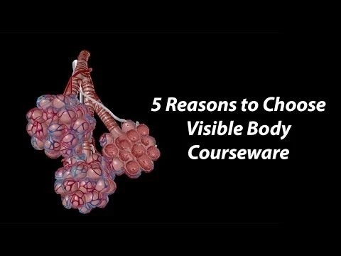5 Reasons to Choose Visible Body Courseware