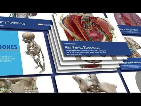 Atlas 2021 Tours in Visible Body#39;s free eBooks
