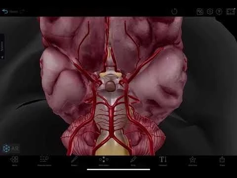 Innovative Educational Software Tool: Visible Body