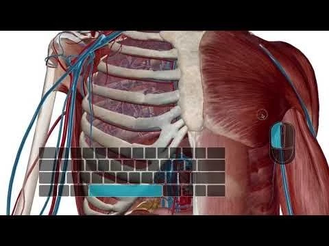 Zooming, dissecting, and rotating the 3D model | Mouse and Keyboard