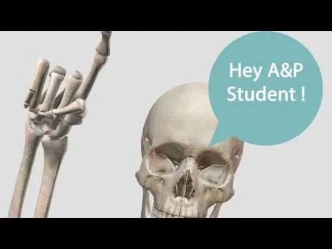 Hey AP Students! Visualize Anatomy and Physiology in 3D.
