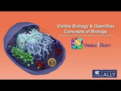 Visible Biology in Courseware | OpenStax Concepts of Biology Correlation