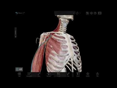 Tips and tricks for building a view