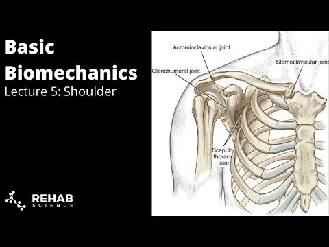 Biomechanics Lecture 5: Shoulder Complex