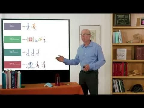 Biomechanics of Movement | Introduction to Part I: Locomotion