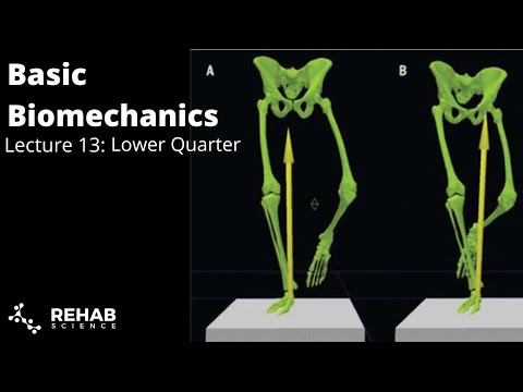 Biomechanics Lecture 13: Lower Quarter Functional Biomechanics