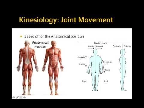 Lecture 3  Biomechanics of Resistance Exercise