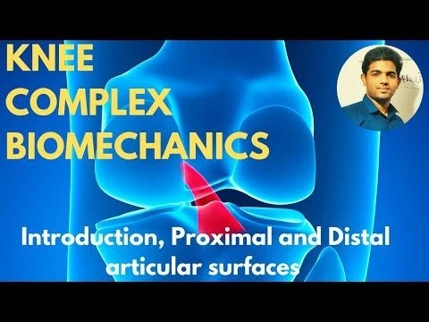 Knee Complex Biomechanics ( Introduction,Proximal  Distal articular surfaces)