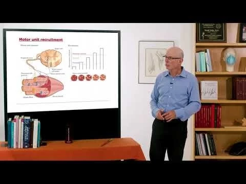 Biomechanics of Movement | Lecture 5.1: From Electricity to Force: Neuromuscular Biomechanics