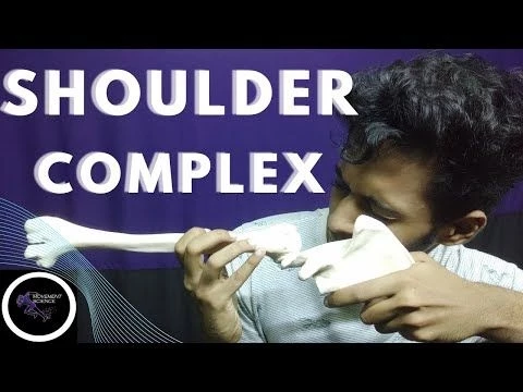 SHOULDER JOINT INTRODUCTION  (SHOULDER JOINT  COMPLEX BIOMECHANICS)Physiotherapy Tutorials
