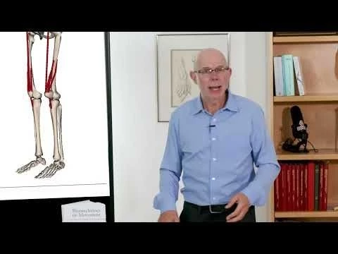Biomechanics of Movement | Lecture 6.1: Introduction to Musculoskeletal Geometry