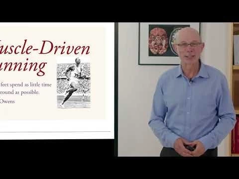 Biomechanics of Movement | Lecture 12.1: Why Create Muscle-Driven Simulations of Running?