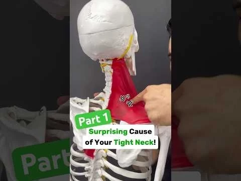 Part 1/2: Is your neck tight with shoulder blade or arm pain? Try this! #neckpain #shoulderpain #tmj
