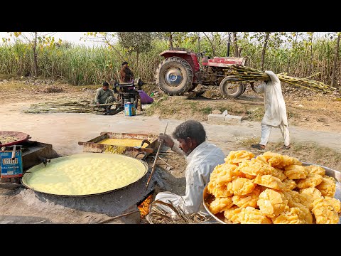 Let#39;s Visit a Farmer#39;s Sugar Factory | Process of Brown Sugar | Jaggery Making in Sugarcane Fields