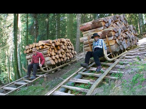 Amazing Way These Old French Men Slide Tons of Wood Downhill