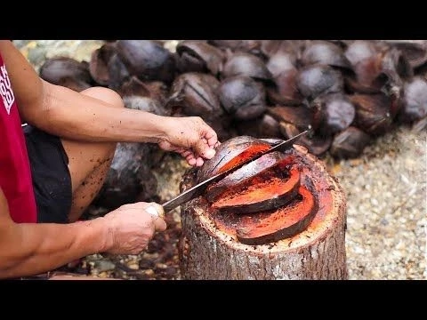 Extreme Way they Produce Tons of Rare Salt in Asia