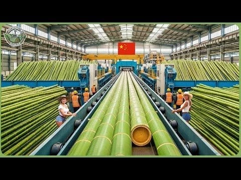 How Billions of Bamboo Are Processed Into Eco Products – Inside the World’s Massive Bamboo Industry