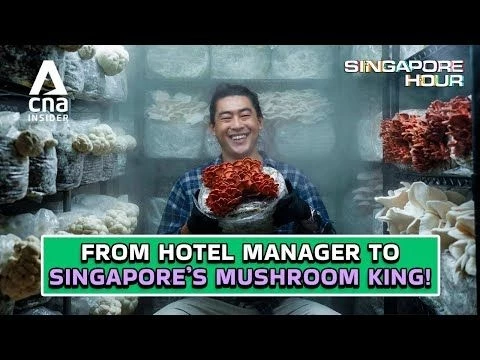 How I Grew A Mushroom Empire From My Bedroom | Singapore Hour