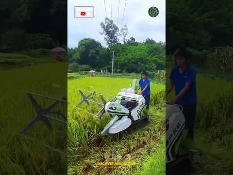 Amazing Rice Harvesting Machine