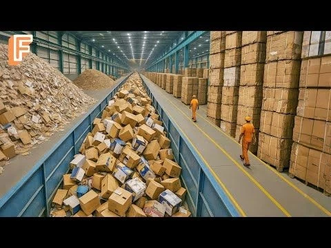 How Millions of Cardboard Boxes Are Recycled Inside Massive Recycling Line