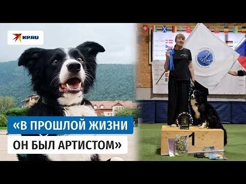 Пёс Ларри помог петербурженке завоевать первенство Европы по танцам