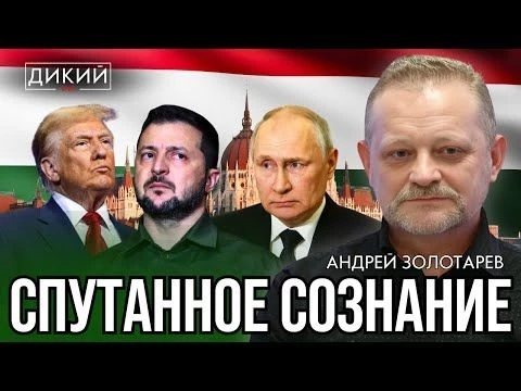 КАК АУКНЕТСЯ, ТАК И ОТКЛИКНЕТСЯ. AНДРЕЙ ЗОЛОТAРЕВ ДЛЯ ДИКИЙ LIVE