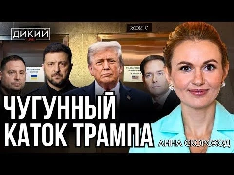 УДАСТСЯ ЛИ ДОГОВОРИТЬСЯ? АННА СКОРОХОД ДЛЯ ДИКИЙ LIVE