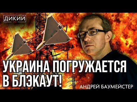 НАДЕЖДЫ НА ПОЛИТИКОВ НЕТ. АНДРЕЙ БАУМЕЙСТЕР ДЛЯ ДИКИЙ LIVE