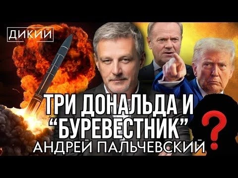 КРУГОМ ВРАГИ. АНДРЕЙ ПАЛЬЧЕВСКИЙ ДЛЯ ДИКИЙ LIVE