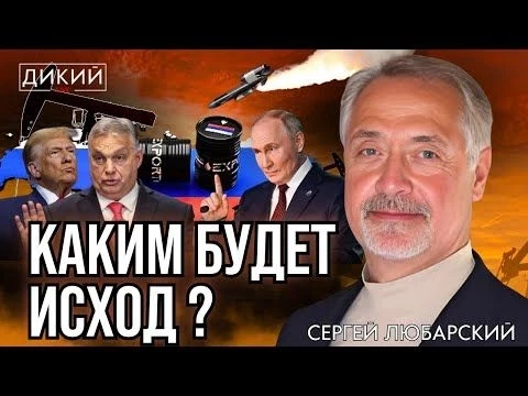 БОЛЕВОЙ ШОК, ИЛИ НОВАЯ ФАЗА ВОЙНЫ. СЕРГЕЙ ЛЮБAРСКИЙ ДЛЯ ДИКИЙ LIVE