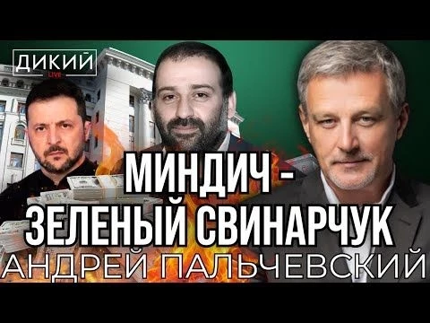 МИНДИЧ - ЗЕЛЕНЫЙ СВИНАРЧУК ?! АНДРЕЙ ПАЛЬЧЕВСКИЙ ДЛЯ ДИКИЙ LIVE