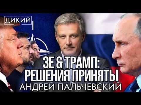 ВОЙНА С НАТО?! ЧТО ДАЛЬШЕ? АНДРЕЙ ПАЛЬЧЕВСКИЙ ДЛЯ ДИКИЙ LIVE