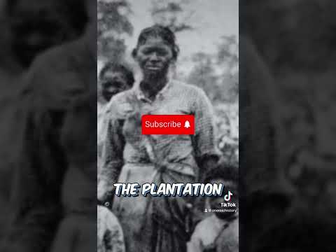 Chitlins and Black people #foodhistory