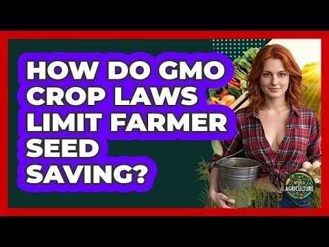 How Do **GMO Crop Laws** Limit Farmer Seed Saving? - The World of Agriculture