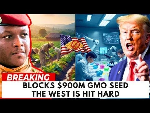 Why Is the West Alarmed by Burkina’s $900M Anti GMO Seed Law?