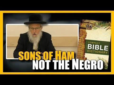 Not the Father of the Negro