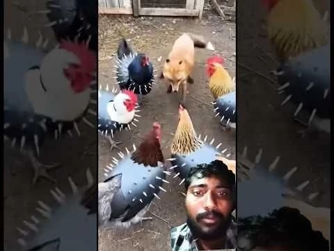 armer Fuchs #horror #animals #horrorpodcast #horrorstories #funny  #podcastdeutsch@KrimiAkten