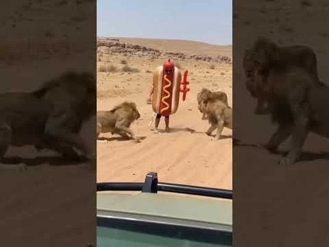 An animator#39;s nightmare ein verrückter Mann 2 #music #horror #animals #horrorpodcast #podcastdeutsch