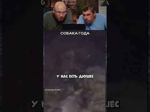 Что не так с этой собакой?