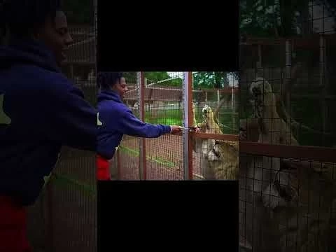 Speed cooked #ronaldo #ishowspeed #funny #shorts @livespeedy7451 @IShowSpeed