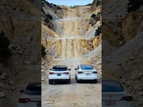 BYD vs Tesla... which one! #teslachina #offroad #tesla #byd