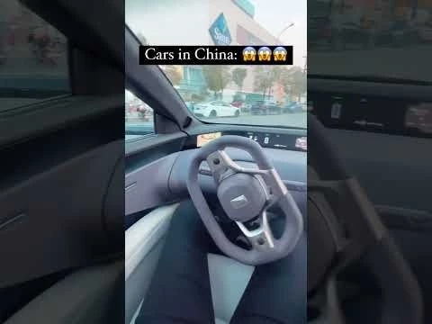 Tesla VS Chinese EV