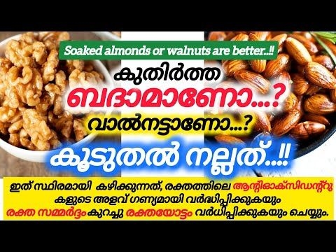 Soaked almonds or walnuts are better/കുതിർത്ത ബദാം ആണോ വാൽനട്ട് ആണോ കൂടുതൽ നല്ലത്#thasnishealthbites