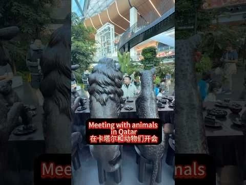 Meeting with animals in Doha #trump #china #chinatravel #chongqing