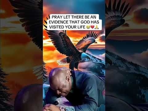 Let There Be An Evidence That God visited U #apostlejoshuaselman #iprayforyou #shortsfeed #fyp #god